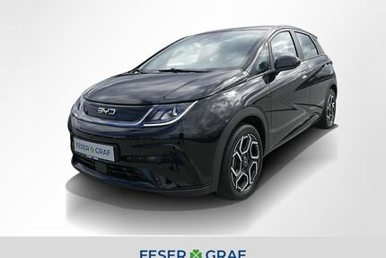 BYD DOLPHIN Gebrauchtwagen