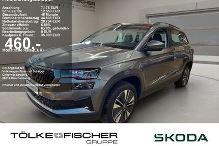 Skoda Karoq Gebrauchtwagen