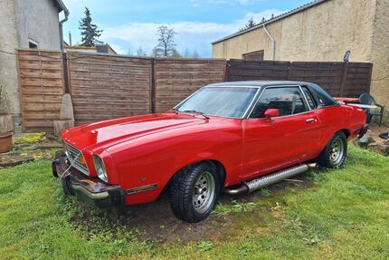 Ford Mustang Gebrauchtwagen