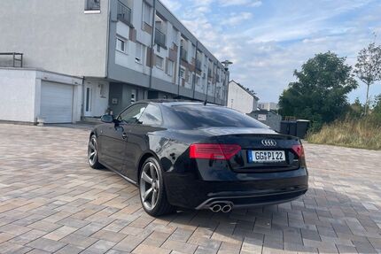 Audi A5 Gebrauchtwagen