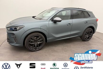 Cupra Terramar Gebrauchtwagen