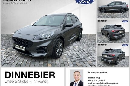Ford Kuga Gebrauchtwagen