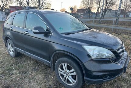Honda CR-V Gebrauchtwagen