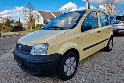 Fiat Panda Gebrauchtwagen