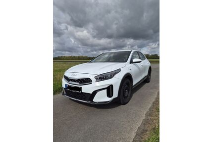 Kia XCeed Gebrauchtwagen