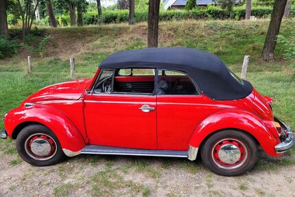 VW Käfer Gebrauchtwagen