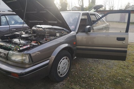 Nissan Bluebird Gebrauchtwagen