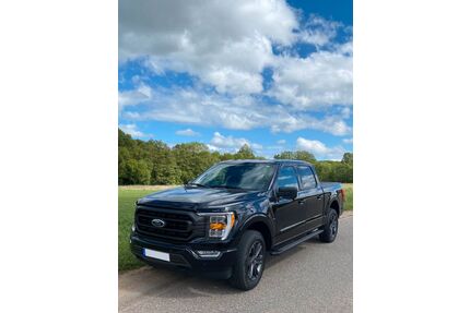 Ford F 150 Gebrauchtwagen