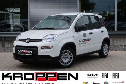 Fiat Panda Gebrauchtwagen