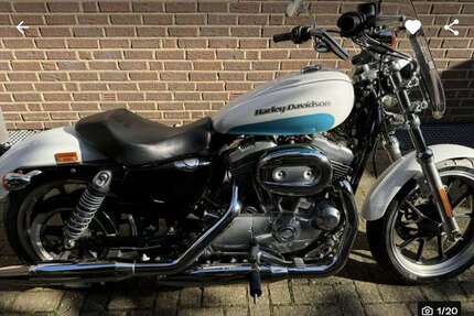 Harley Davidson Iron 883 Gebrauchtwagen