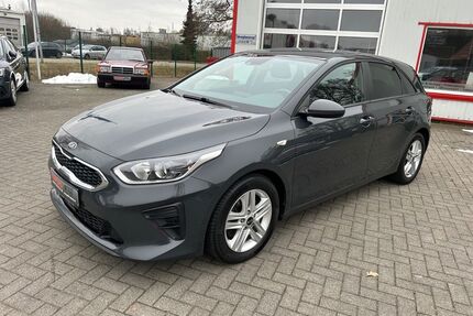 Kia ceed / Ceed Gebrauchtwagen