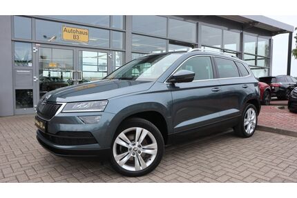 Skoda Karoq Gebrauchtwagen