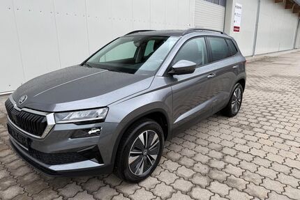 Skoda Karoq Gebrauchtwagen