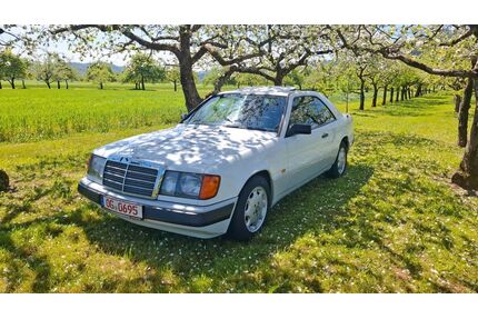 Mercedes-Benz 230 Gebrauchtwagen