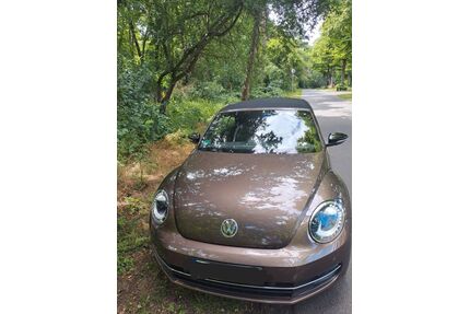 VW Beetle Gebrauchtwagen