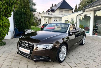 Audi A5 Gebrauchtwagen