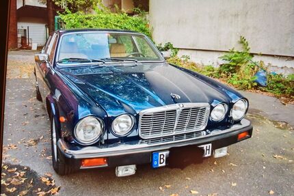 Jaguar XJ6 Gebrauchtwagen
