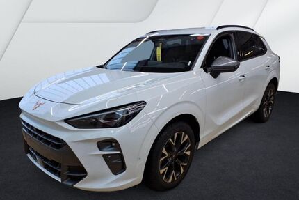 Cupra Terramar Gebrauchtwagen