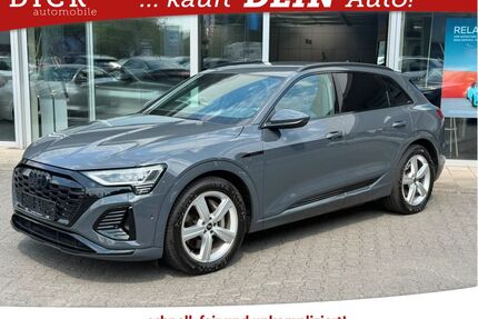 Audi Q8 e-tron Gebrauchtwagen