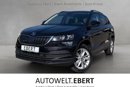 Skoda Karoq Gebrauchtwagen