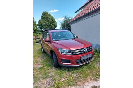 VW Tiguan Gebrauchtwagen