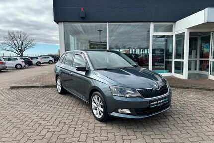 Skoda Fabia Gebrauchtwagen