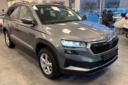 Skoda Karoq Gebrauchtwagen