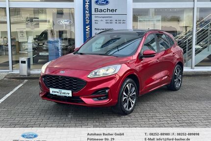 Ford Kuga Gebrauchtwagen