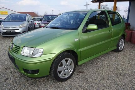 VW Polo Gebrauchtwagen