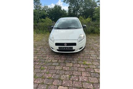 Fiat Punto Gebrauchtwagen
