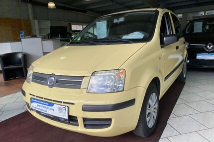 Fiat Panda Gebrauchtwagen