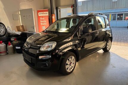 Fiat Panda Gebrauchtwagen