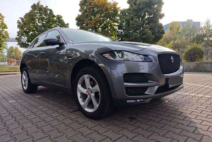 Jaguar F-Pace Gebrauchtwagen