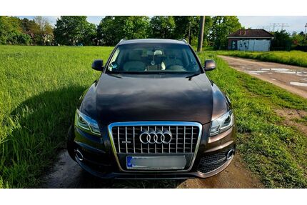 Audi Q5 Gebrauchtwagen