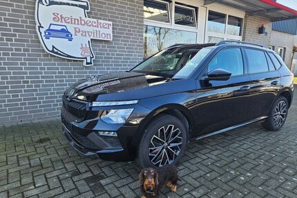 Skoda Kamiq Gebrauchtwagen