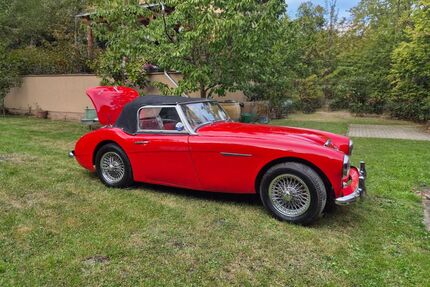 Austin Healey Andere Gebrauchtwagen