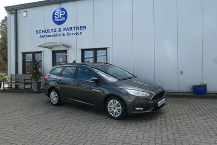 Ford Focus Gebrauchtwagen