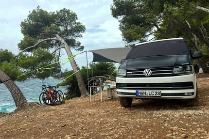 VW T6 andere Gebrauchtwagen