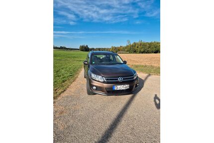 VW Tiguan Gebrauchtwagen