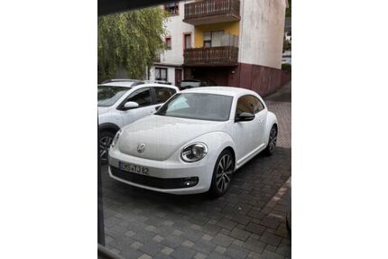 VW Beetle Gebrauchtwagen