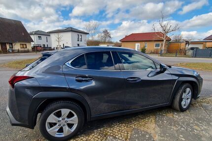 Lexus UX Gebrauchtwagen