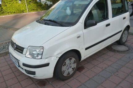 Fiat Panda Gebrauchtwagen
