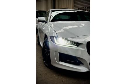 Jaguar XE Gebrauchtwagen