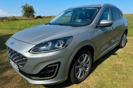Ford Kuga Gebrauchtwagen