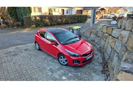Kia ceed / Ceed Gebrauchtwagen