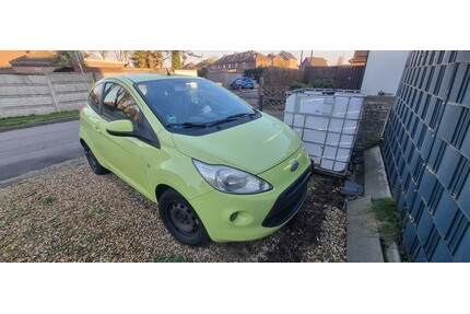 Ford Ka Gebrauchtwagen