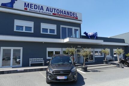 Ford Kuga Gebrauchtwagen