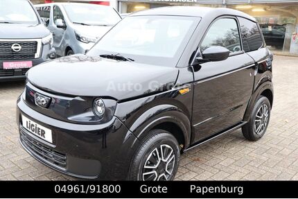 Ligier Andere Gebrauchtwagen