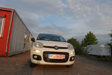 Fiat Panda Gebrauchtwagen
