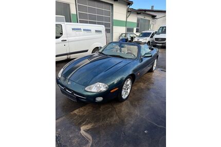 Jaguar XK8 Gebrauchtwagen